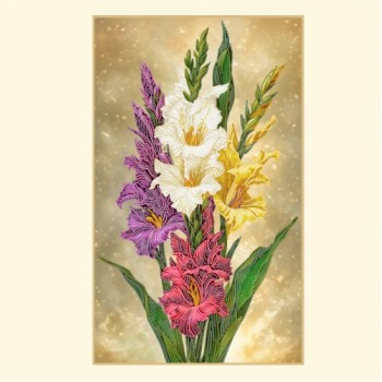 Гладиолусы Гладиолусы Gladioli